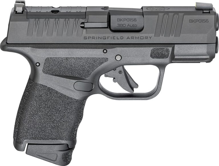 Discover The Hellcat .380: A Micro-compact .380 Acp Pistol With 11+1 Capacity, Optics-ready Slide, Tritium Sights, And Rugged Design. Shop At Battlehawk Armory!
