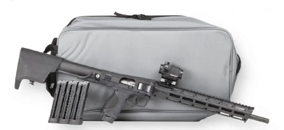 Smith & Wesson M&P FPC .22lr