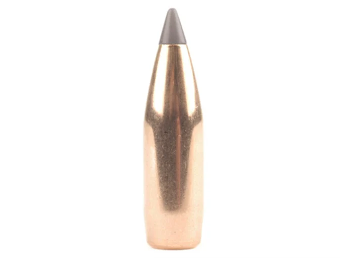 Varmint 6mm 243 Caliber 75 Grain Polymer Tip Bullets